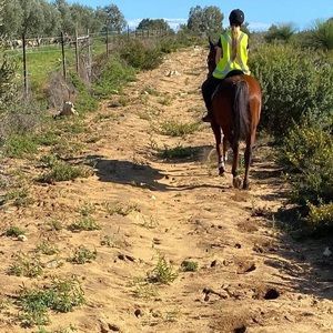 Meet your Posher, Leena